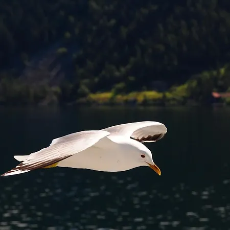 Visit Casa de hóspedes 3*