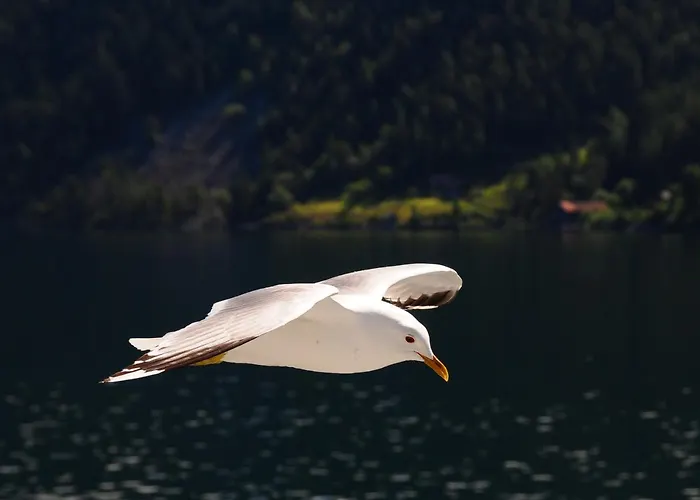 Visit بيت ضيافة 3*