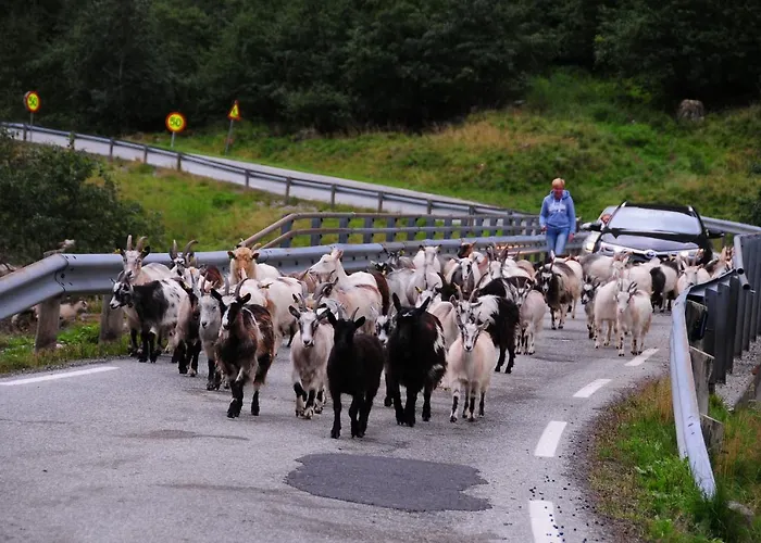 Casa de hóspedes Visit 3*